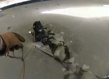 Polizisten retten Hund aus gefrorenem Pool in Pennsylvania