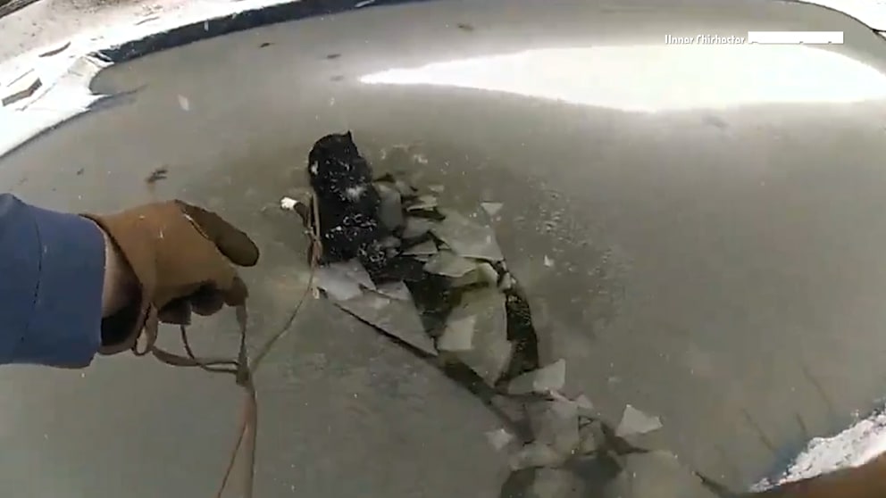 Polizisten retten Hund aus gefrorenem Pool in Pennsylvania