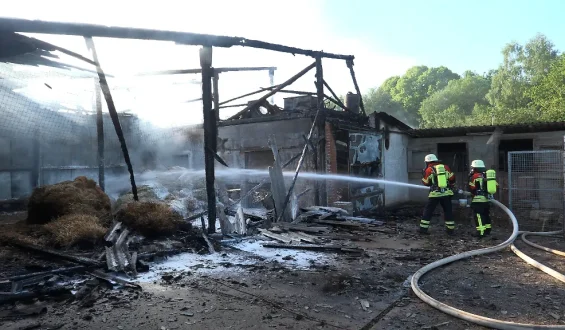 Großbrand in Rehlingen-Siersburg: Hühnerhof in Flammen