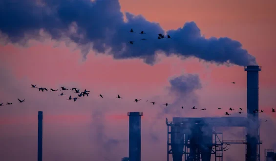 Deutsche Industrie steigert Umsatz trotz Stellenabbau