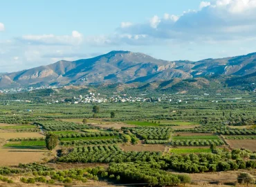 Festnahmen wegen EU-Agrarsubventionsbetrug auf Kreta