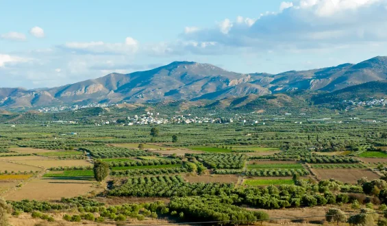 Festnahmen wegen EU-Agrarsubventionsbetrug auf Kreta