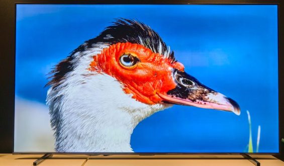 Der Hisense E7Q Pro: Ein 100-Zoll-Koloss für Sport und Gaming