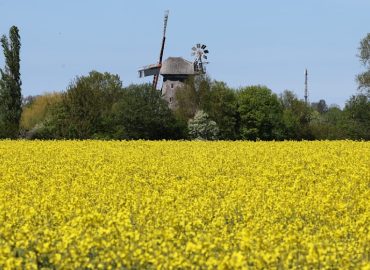 Grillwetter zum Muttertag, dann Frost-Schock: Eisheilige drücken die Temperaturen in den Keller
