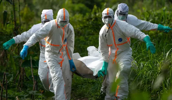 Analysiert: Ebola-Ausbruch im Kongo durch seltene Virusvariante