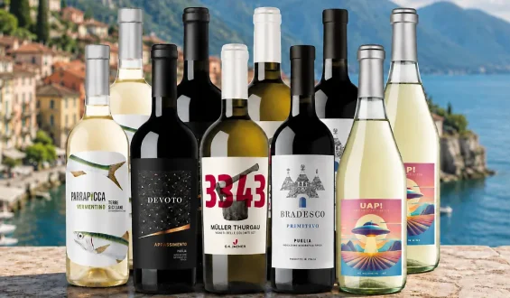 Ein vielfältiges Weinpaket im Angebot