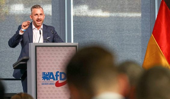 Mehrheit erwartet ersten AfD-Ministerpräsidenten