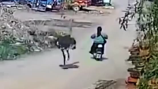 Wildgewordener Strauß verfolgt Rollerfahrerin in China