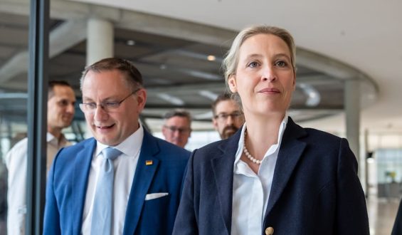 AfD-Umfragewerte und deren Auswirkungen auf die deutsche Politik