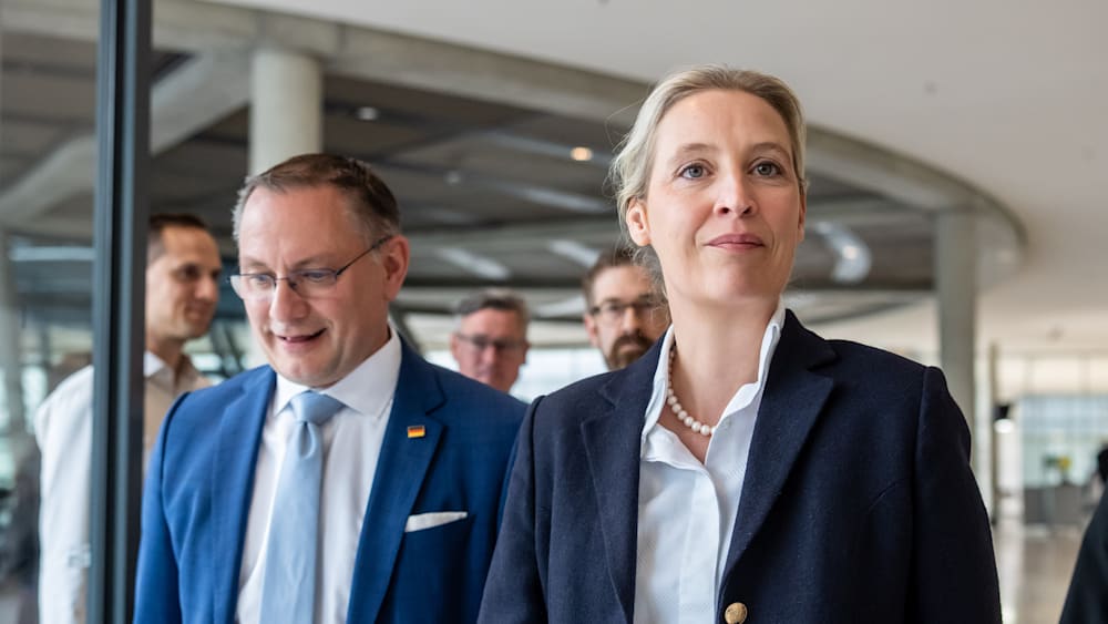 AfD-Umfragewerte und deren Auswirkungen auf die deutsche Politik
