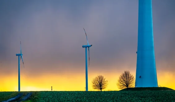 Windkraft in Deutschland: Herausforderungen und Chancen