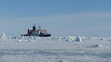 Rückkehr der Polarstern: Expeditionserfahrungen und Entdeckungen