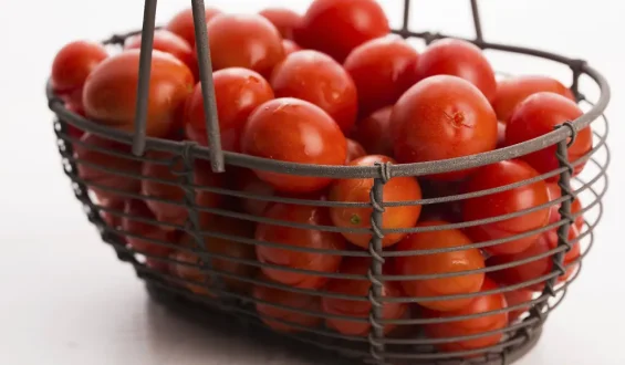 Öko-Test bewertet Cocktailtomaten