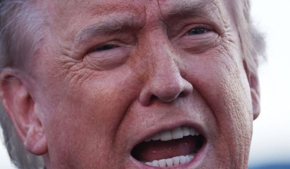 Trump verkündet Waffenruhe im Ukraine-Konflikt