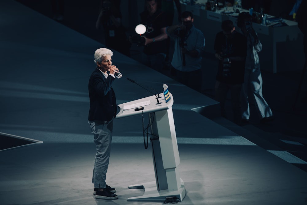 Kubickis Überraschungsantrag an die FDP