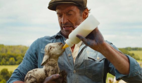 Bewertung der Filmkomödie »Glennkill«