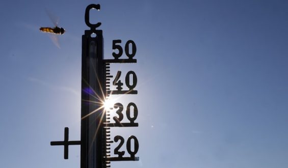 Hitzewelle in Deutschland: Rekordtemperaturen erwartet