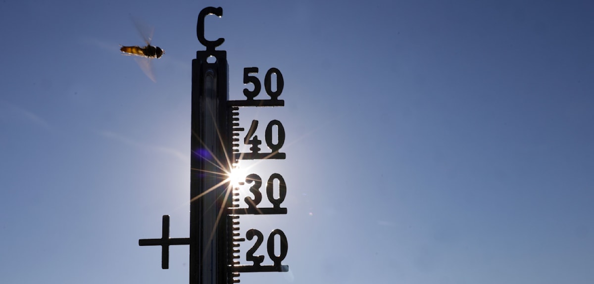 Hitzewelle in Deutschland: Rekordtemperaturen erwartet