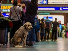 Zugausfälle bei der Deutschen Bahn durch technische Störung