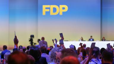 Mitgliederzuwachs bei der FDP durch Kubicki als Parteichef