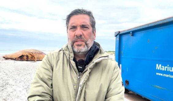 Obduktion von Timmy: Ein Bericht von der Insel Anholt