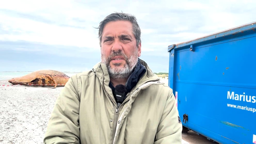 Obduktion von Timmy: Ein Bericht von der Insel Anholt