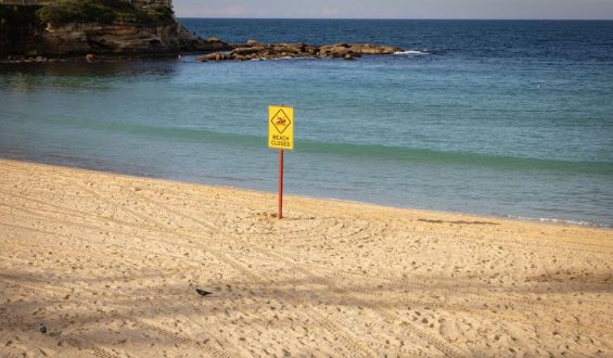 Hai-Angriff in Sydney: Mutter nach Attacke im künstlichen Koma