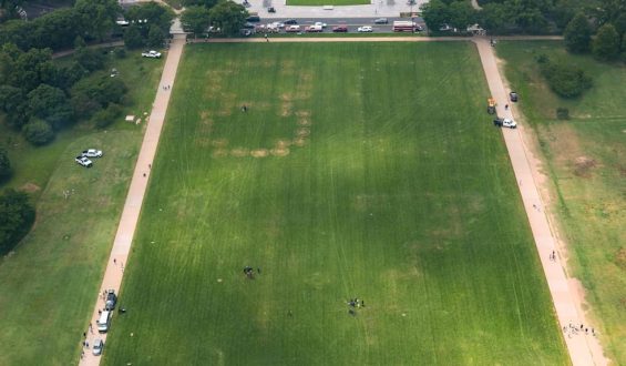 Riesige Anti-Trump-Zahlen auf der National Mall entdeckt