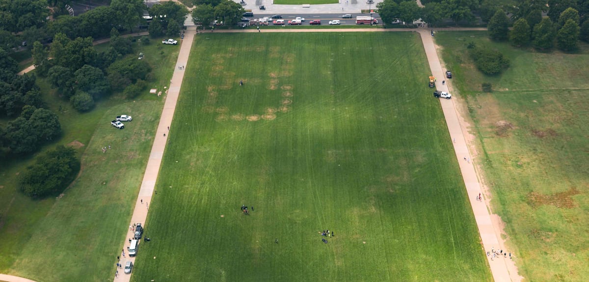 Riesige Anti-Trump-Zahlen auf der National Mall entdeckt