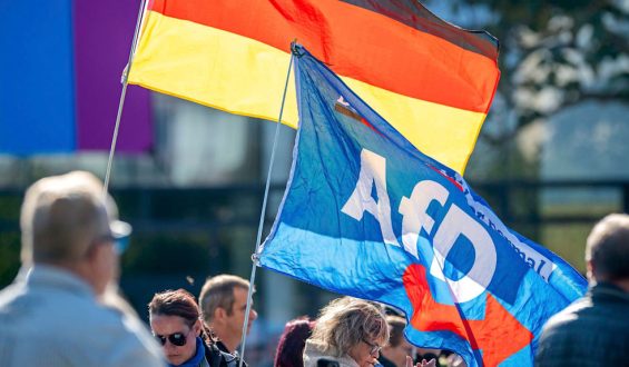 AfD-Politiker Meister in Rostock angegriffen