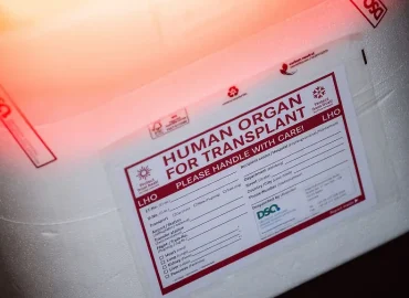 Organspende und Transplantation in Deutschland