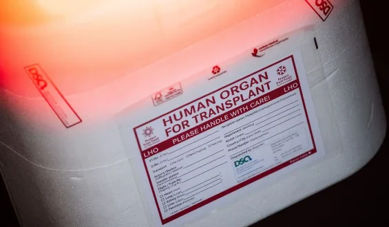 Organspende und Transplantation in Deutschland
