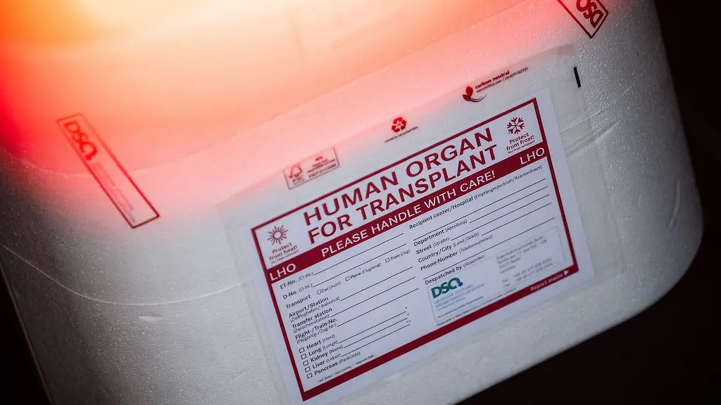 Organspende und Transplantation in Deutschland