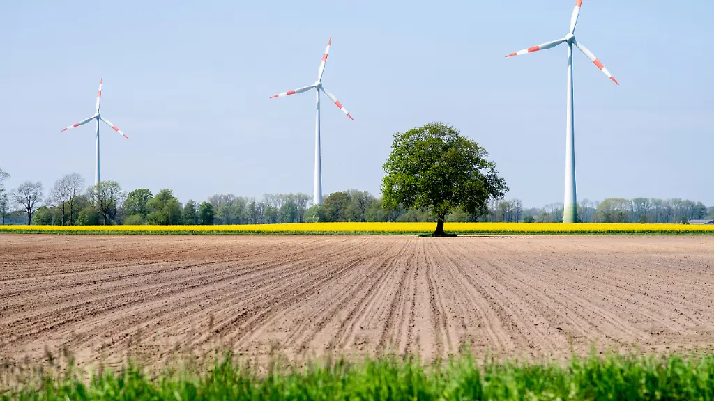 Energieautarke Gemeinde Bakum kämpft mit Bürokratie
