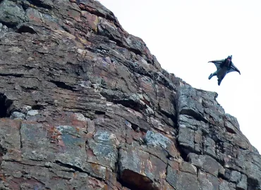 Tragischer Unfall in der Schweiz: Deutscher bei Wingsuit-Sprung tödlich verunglückt
