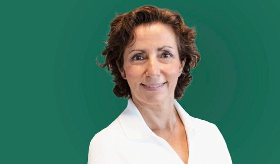 Sommerpause statt Reformen? Auswirkungen auf die Wahlen im Osten
