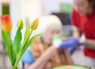 Kritik an Warkens Pflegereform