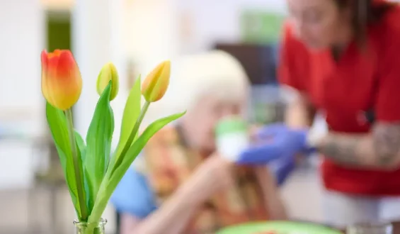 Kritik an Warkens Pflegereform