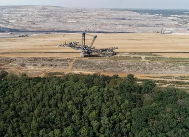 Hambacher Wald wird zum Wildnisgebiet