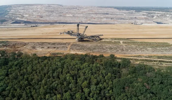 Hambacher Wald wird zum Wildnisgebiet