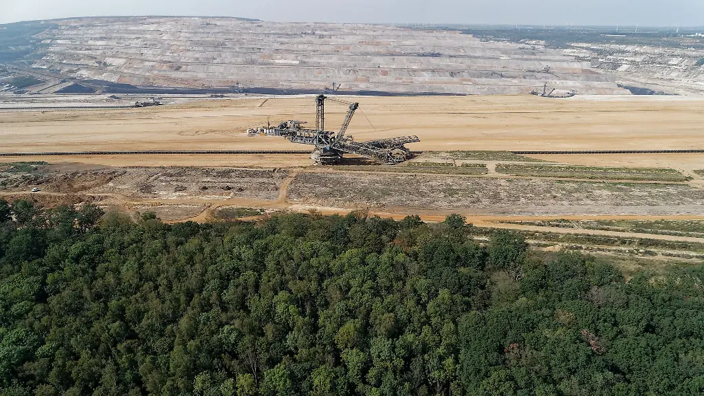 Hambacher Wald wird zum Wildnisgebiet