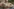 Junge Menschen dokumentieren ihre erfolglose Jobsuche auf TikTok