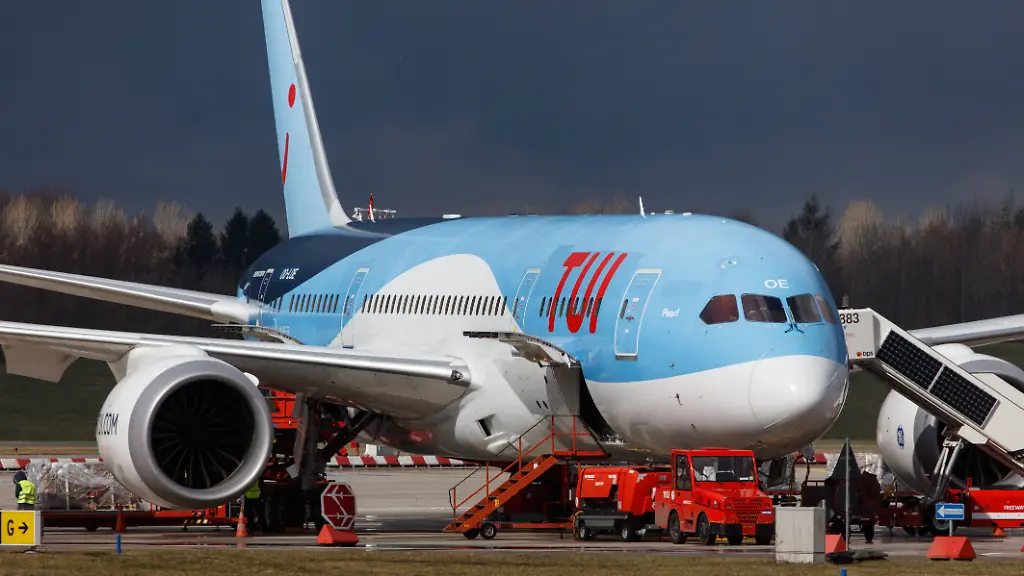 Schlange verzögert Dreamliner-Start