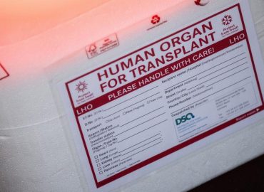 Debatte um Organspende: Widerspruchsregelung vs. Aufklärung