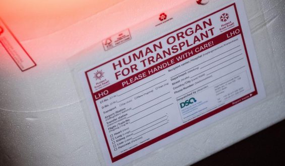 Debatte um Organspende: Widerspruchsregelung vs. Aufklärung