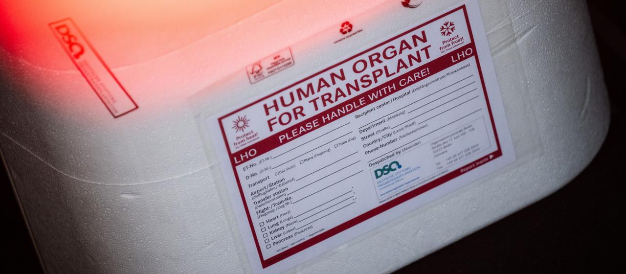 Debatte um Organspende: Widerspruchsregelung vs. Aufklärung