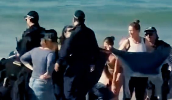 Drama in Sydney: Hai-Angriff auf Schwimmerin vor Touristen-Strand
