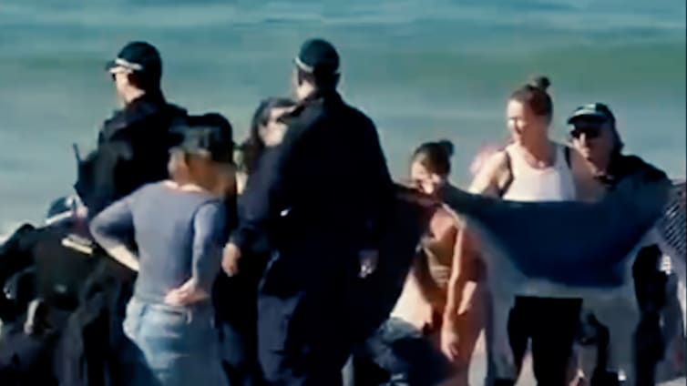 Drama in Sydney: Hai-Angriff auf Schwimmerin vor Touristen-Strand