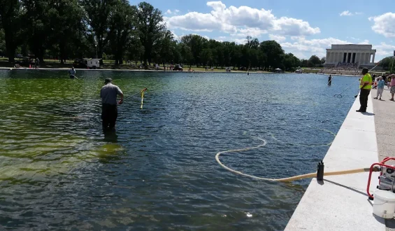 Festnahme nach Schaden am Lincoln Memorial Reflecting Pool