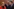 Sozialpolitische Herausforderungen und Reformen im Fokus